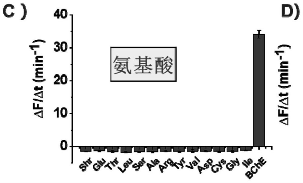 Fluorescent probe for detecting butyrylcholinesterase and its application