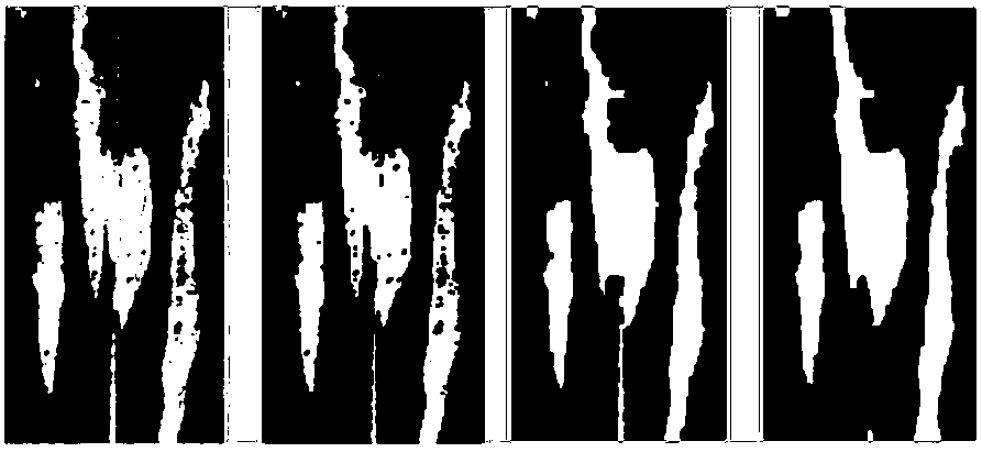 Construction method of maize leaf disease and pest detection model based on image recognition and application