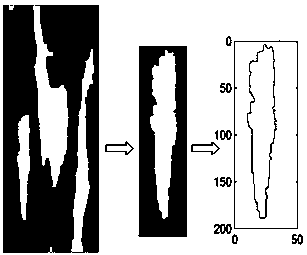 Construction method of maize leaf disease and pest detection model based on image recognition and application