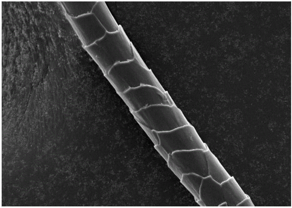 Wool fiber surface modification method