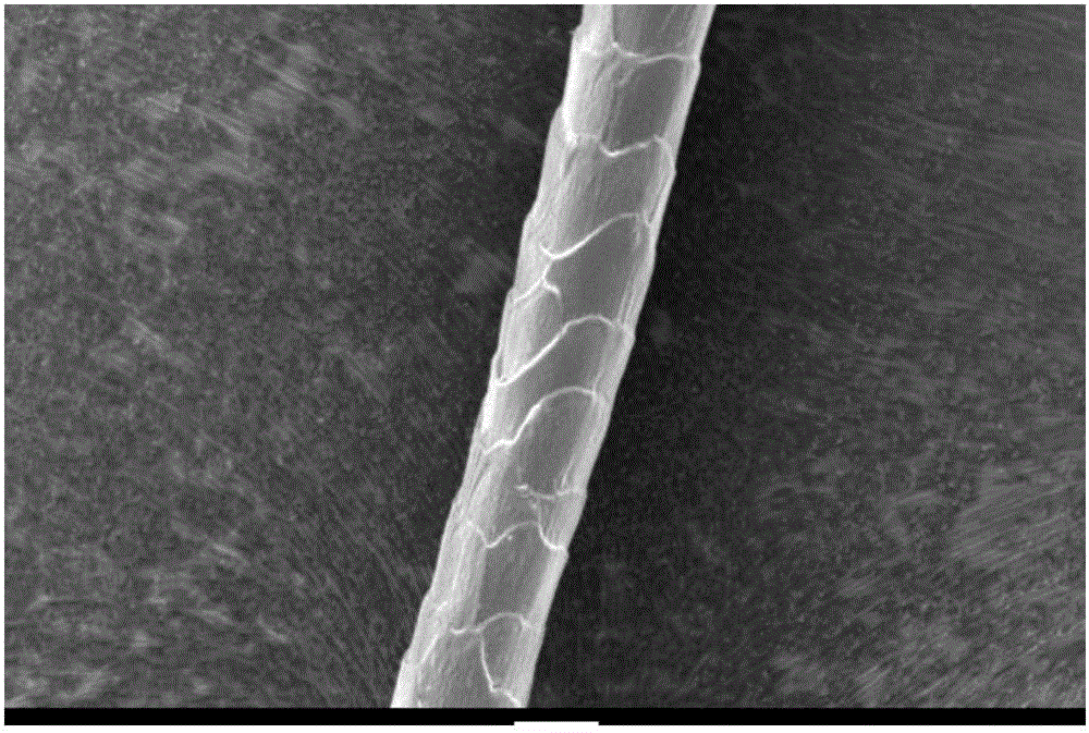 Wool fiber surface modification method