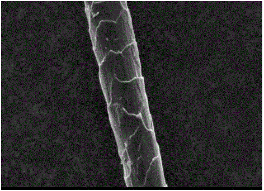 Wool fiber surface modification method