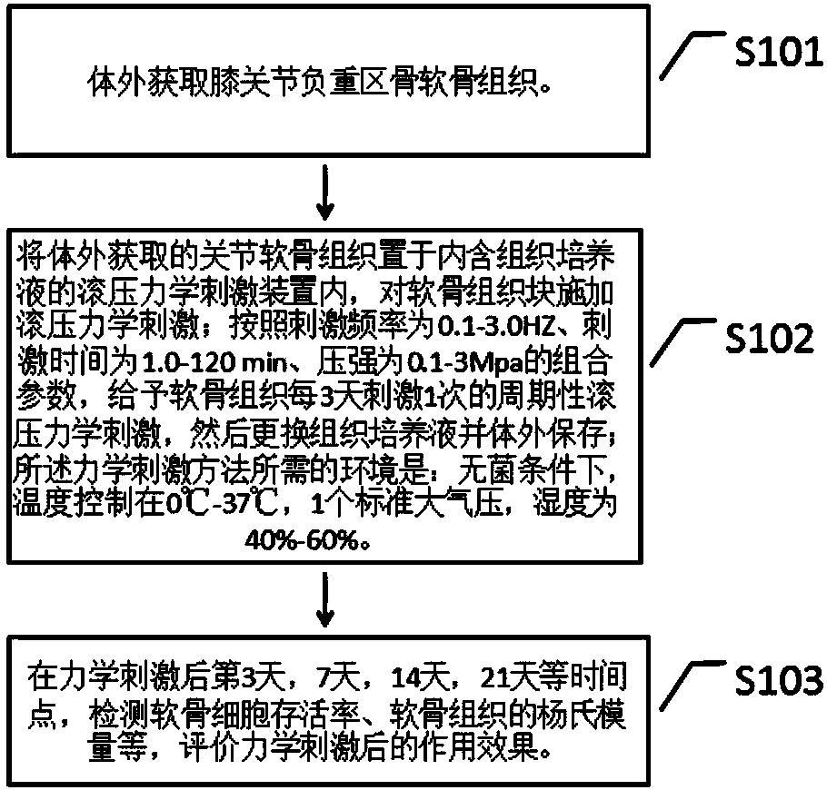 Mechanical stimulation method for improving in-vitro preservation effect of articular cartilage