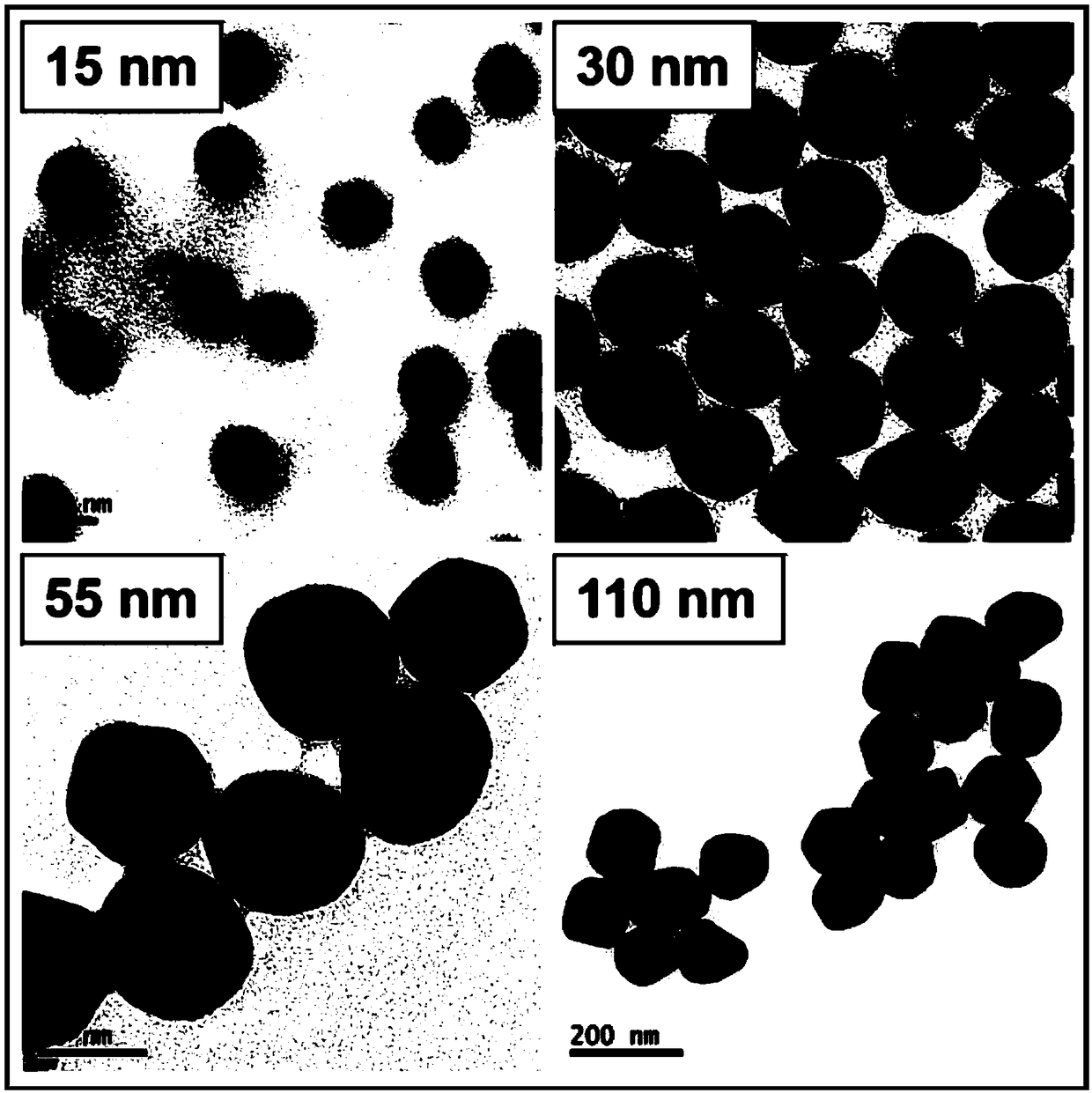 Preparation method of SERS (Surface-Enhanced Raman Scattering) chip