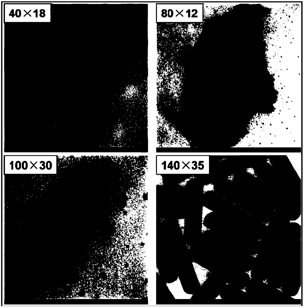 Preparation method of SERS (Surface-Enhanced Raman Scattering) chip