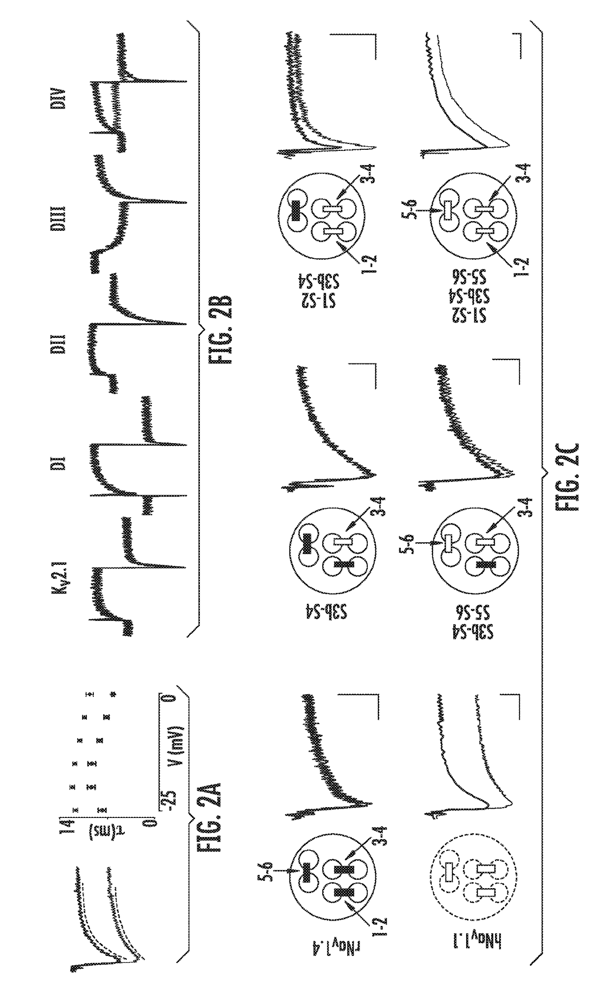 Pharmacological modulators of nav1.1 voltage-gated sodium channels associated with mechanical pain