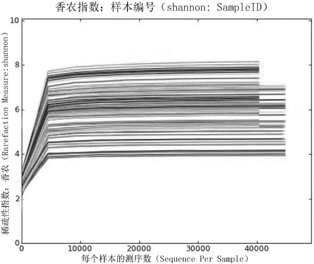 Method for analyzing diversity and differences of intestinal and oral florae