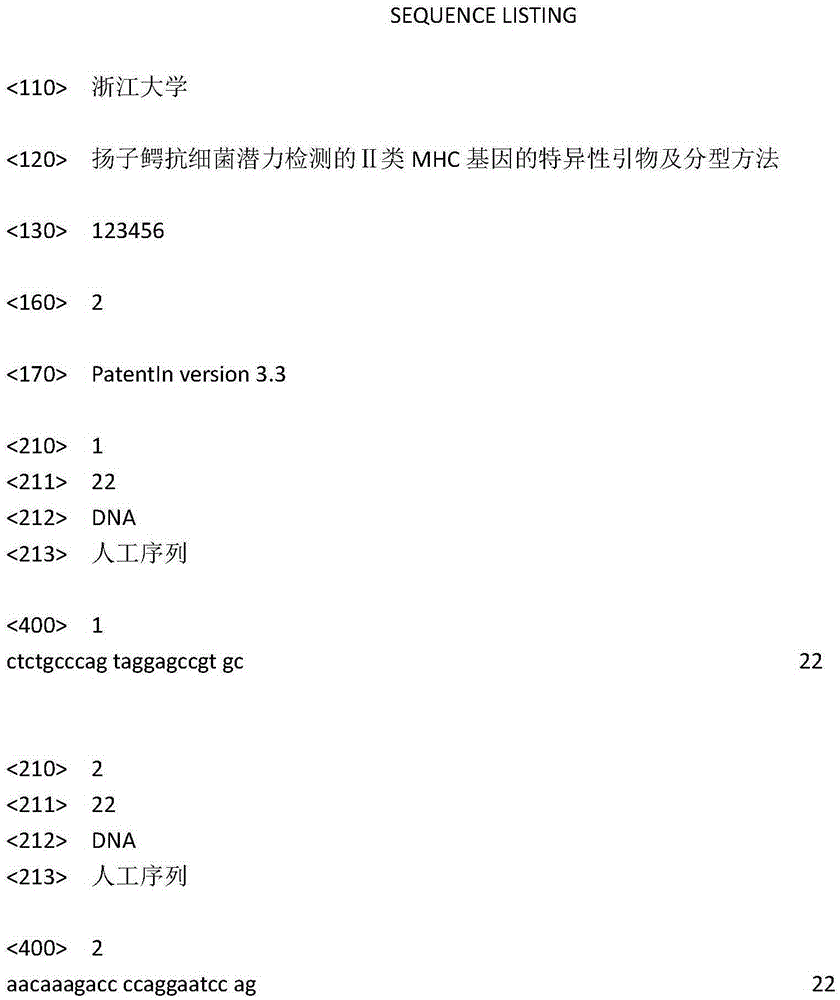 Specific primers and typing method of class II MHC (major histocompatibility complex) genes for antibacterial potential detection of alligator sinensis