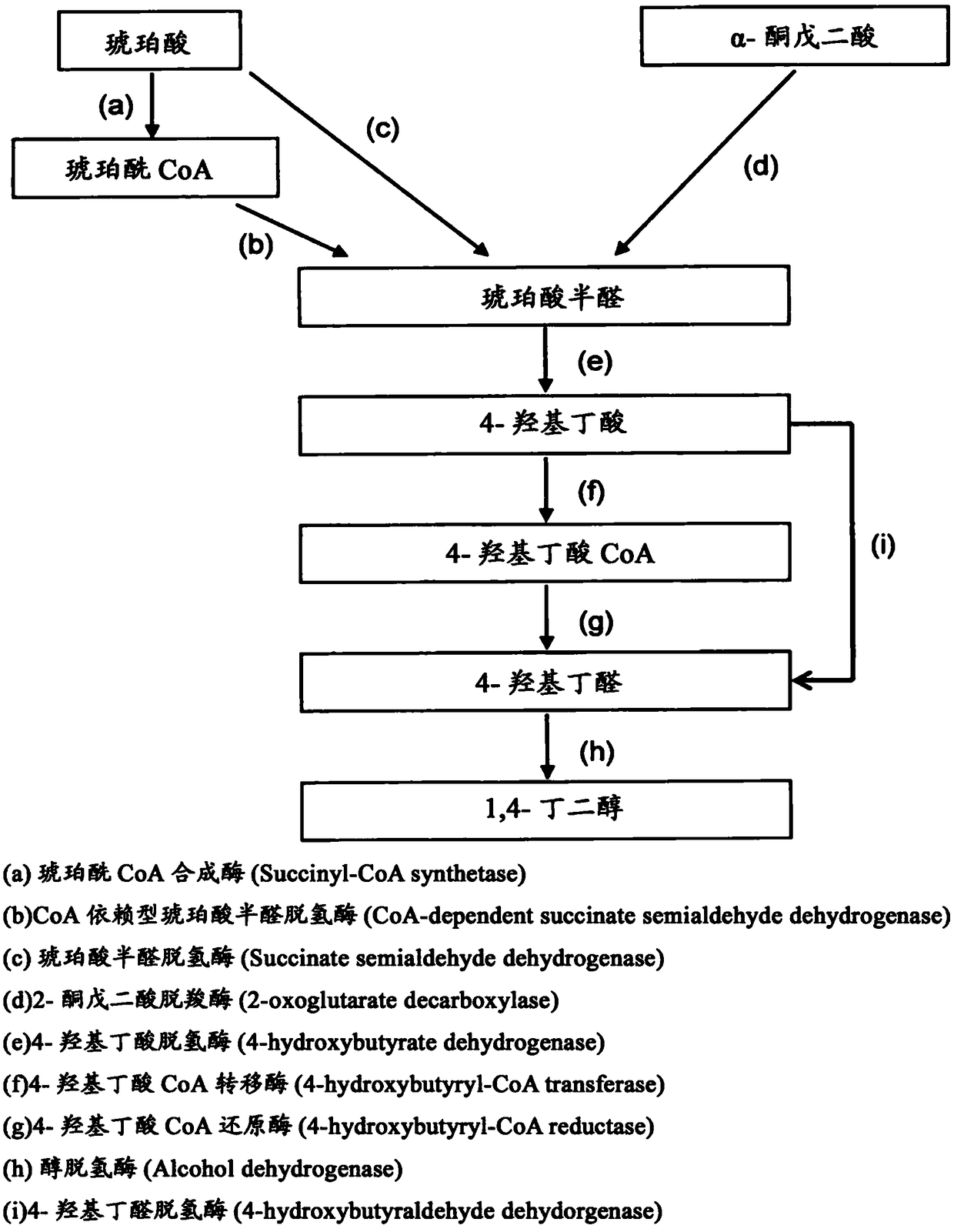 Recombinant cells, method for producing recombinant cells, and method for producing 1,4-butanediol