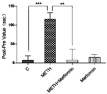 Application of metformin to preparation of medicine for preventing and/or treating benzedrine drug addiction, medicine and preparation method of medicine