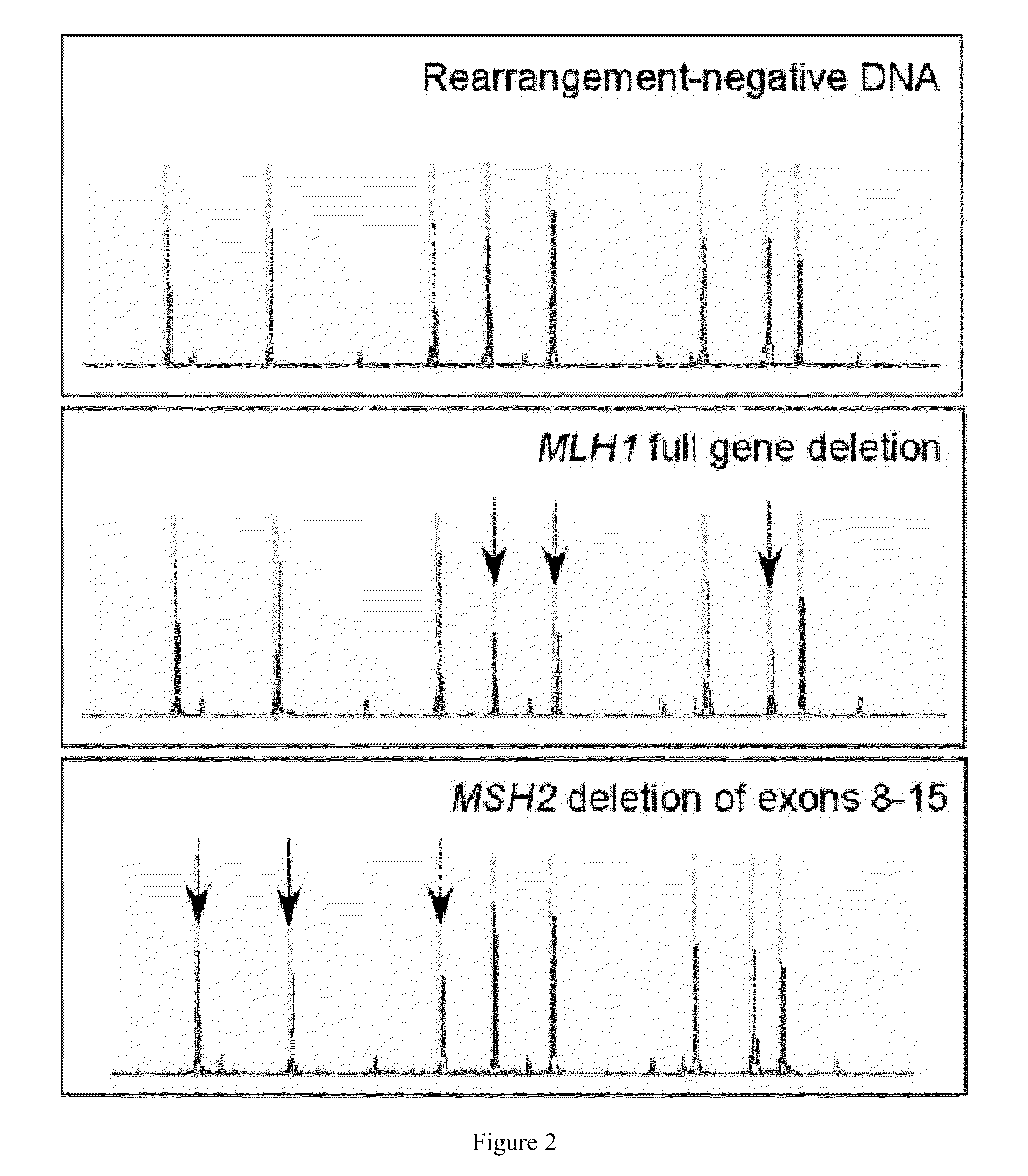 Method of detecting large genomic rearrangements