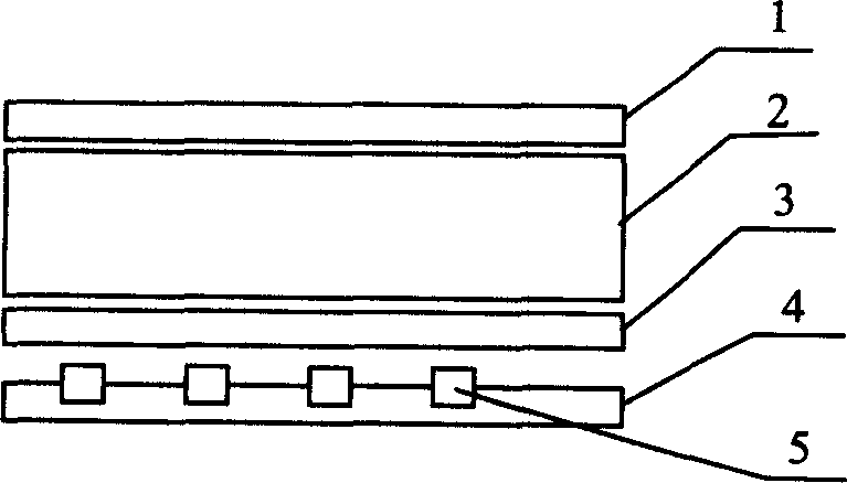 Backlight module device based on polarization light source