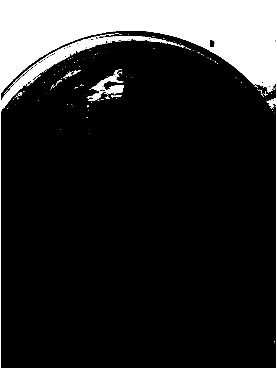 Biological preparation method of (R)-1-(2-trifluoromethylphenyl)ethanol