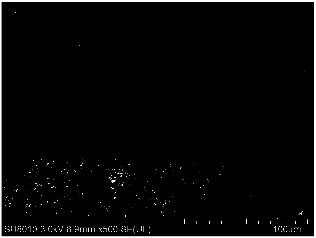 Biological preparation method of (R)-1-(2-trifluoromethylphenyl)ethanol