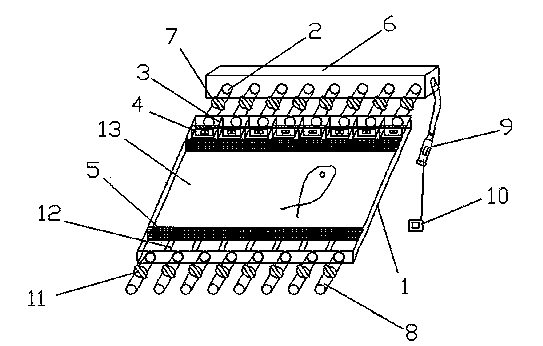 Testing device and testing method for testing environmental preference behavior of fish