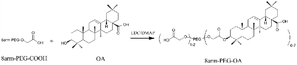 Nanoparticles of eight-arm PEG (polyethylene glycol)-oleanolic acid drug carrier and preparation