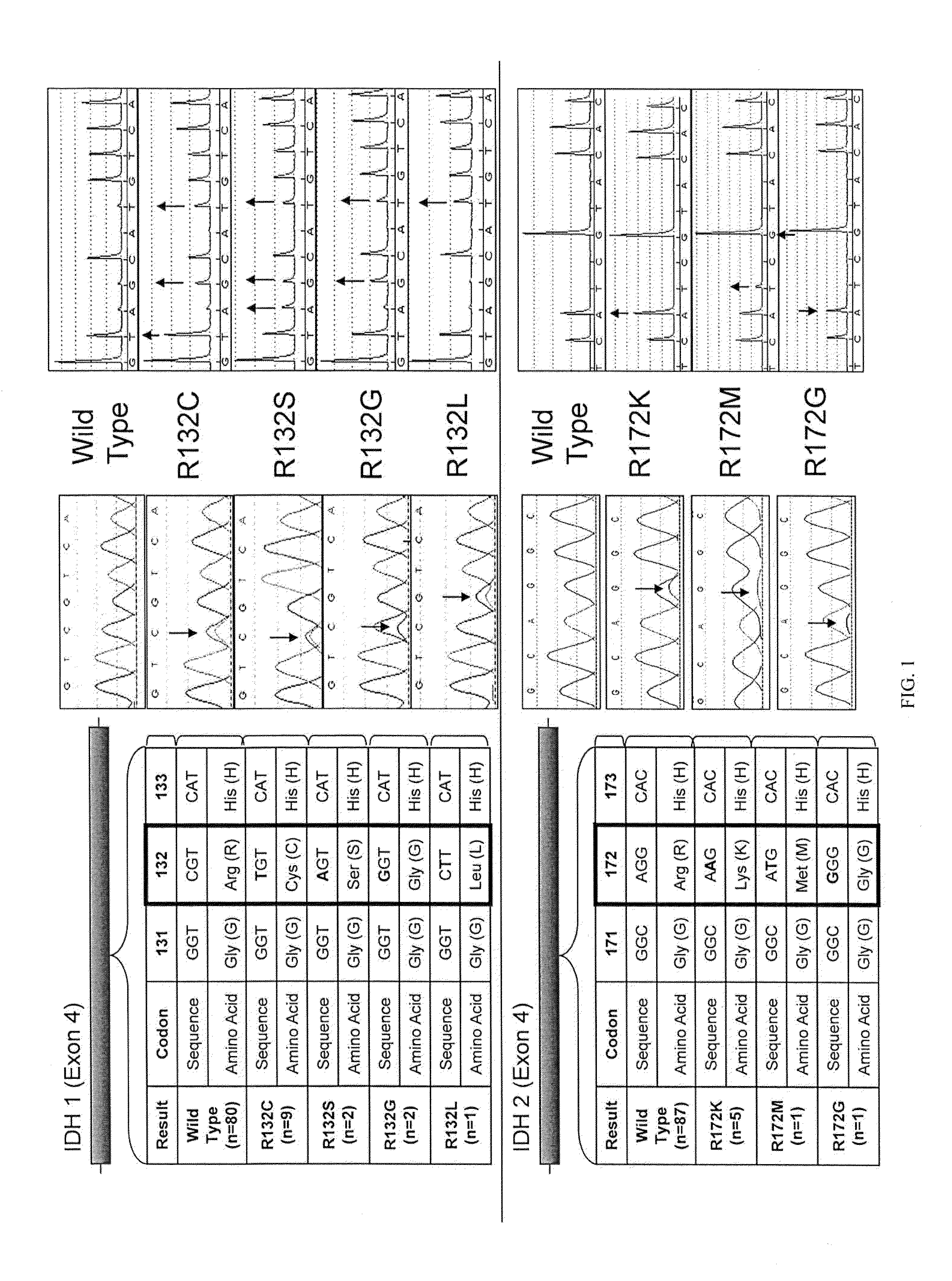 IDH1 and IDH2 mutations in cholangiocarcinoma