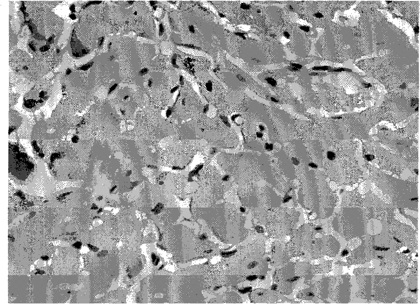 Anti-myocardial remodelling polypeptide, preparation method thereof, preparations and application thereof in preparation of anti-myocardial remodelling medicament