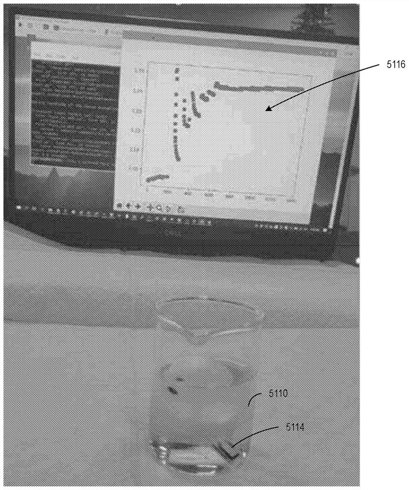 System and method for analyzing urine and fecal matter