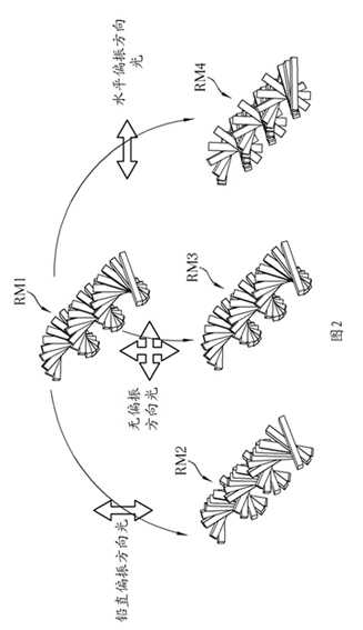 Stereo display device and manufacturing method thereof