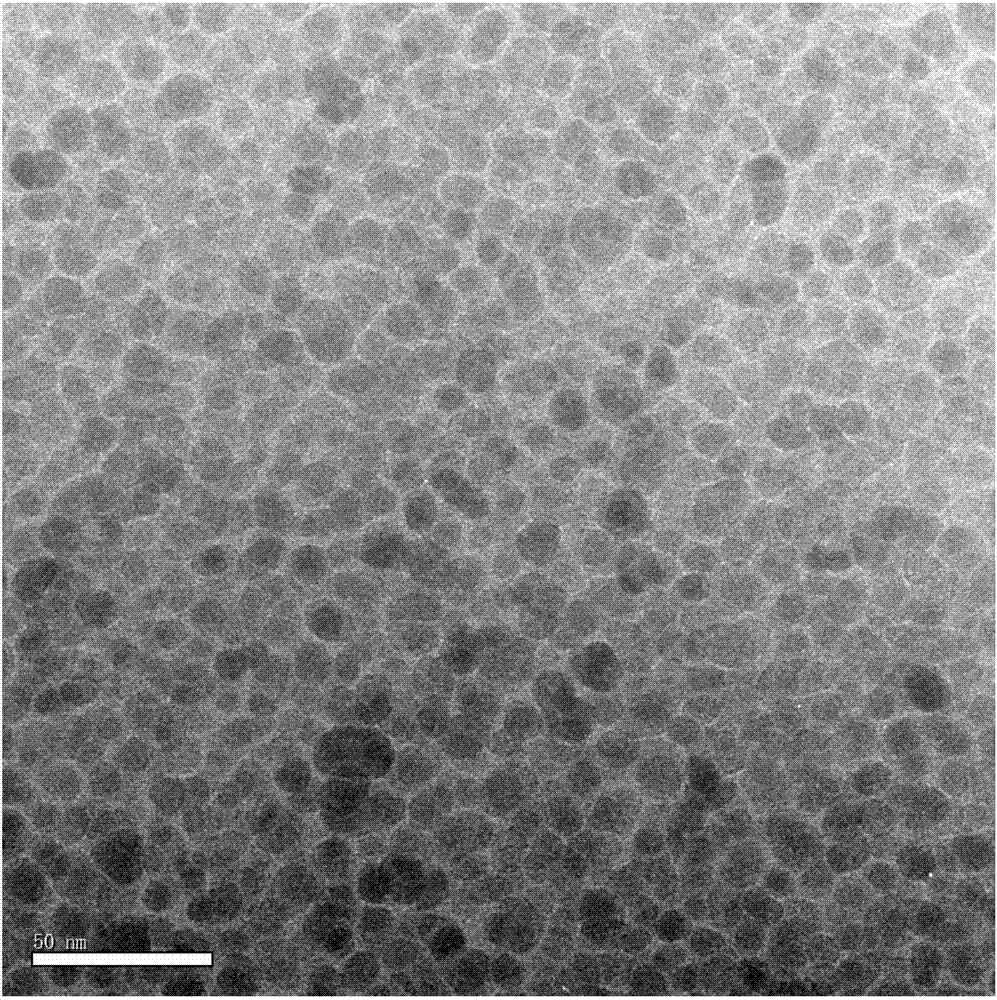 A method of converting oil-soluble nanoparticles into water-soluble nanoparticles