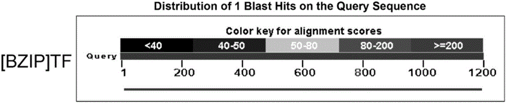 DNA sequence and application thereof