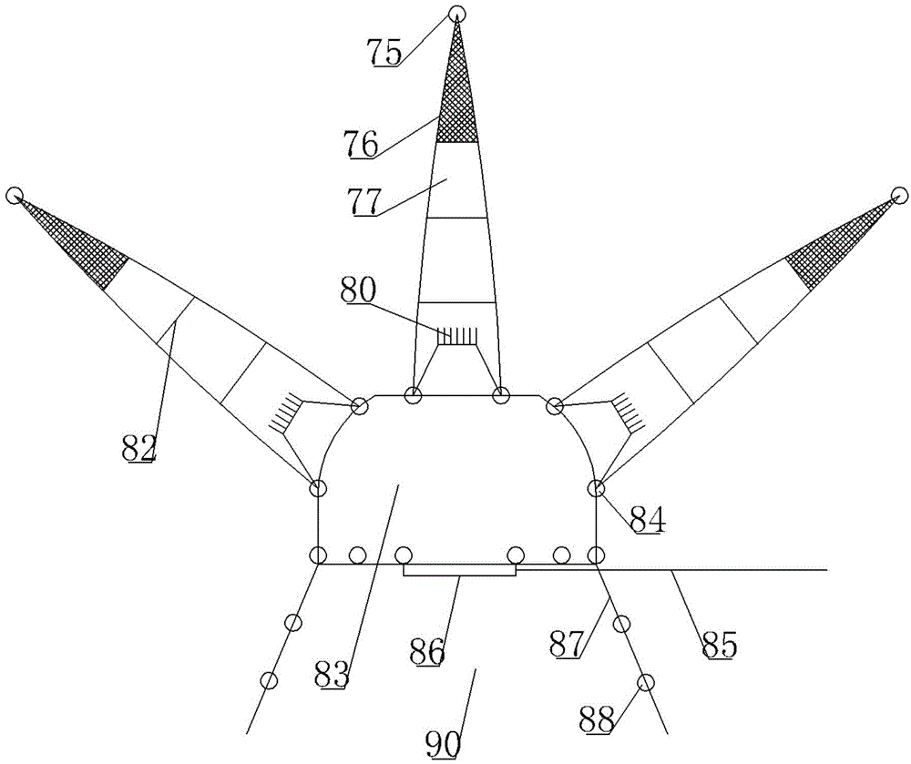 Device for trapping megalobrama amblycephala in large culture water surfaces