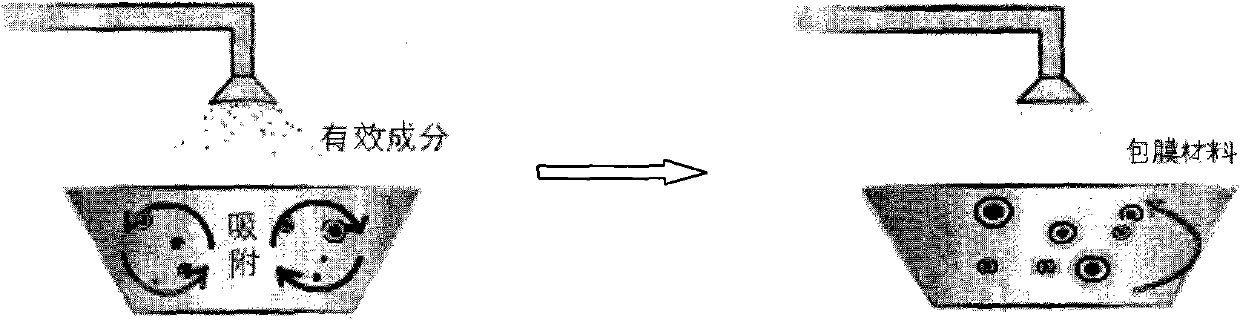 Preparation method of gamma-aminobutyric acid coated when passing rumen