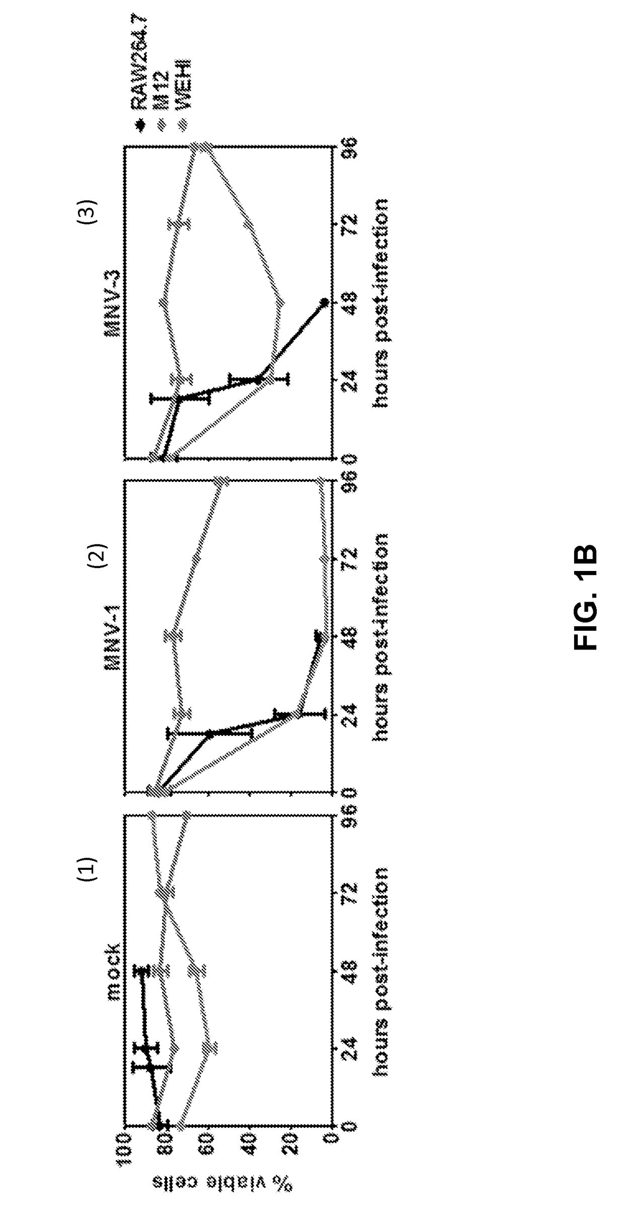 Methods and compositions for caliciviridae