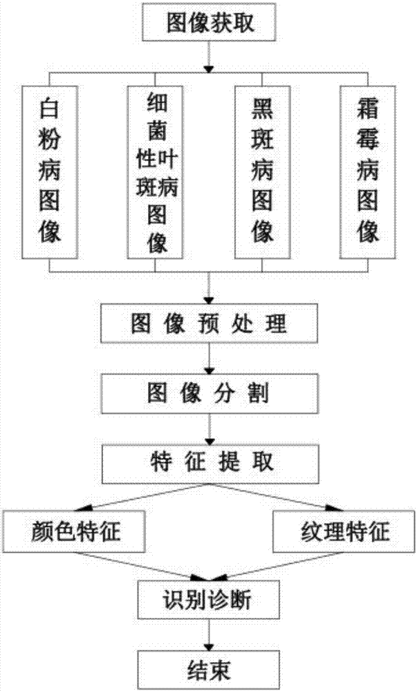 Sunflower disease recognition method based on random forest method