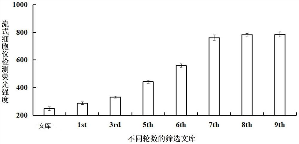 A nucleic acid aptamer and its application in detection of pathogenic Vibrio alginolyticus