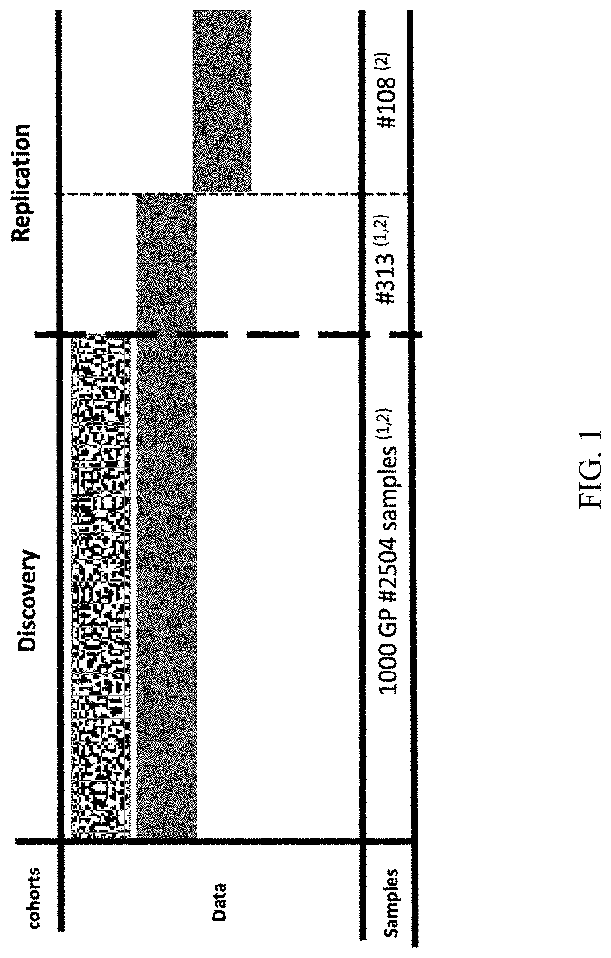 Polymorphic markers for pharmacogenetic HLA risk alleles