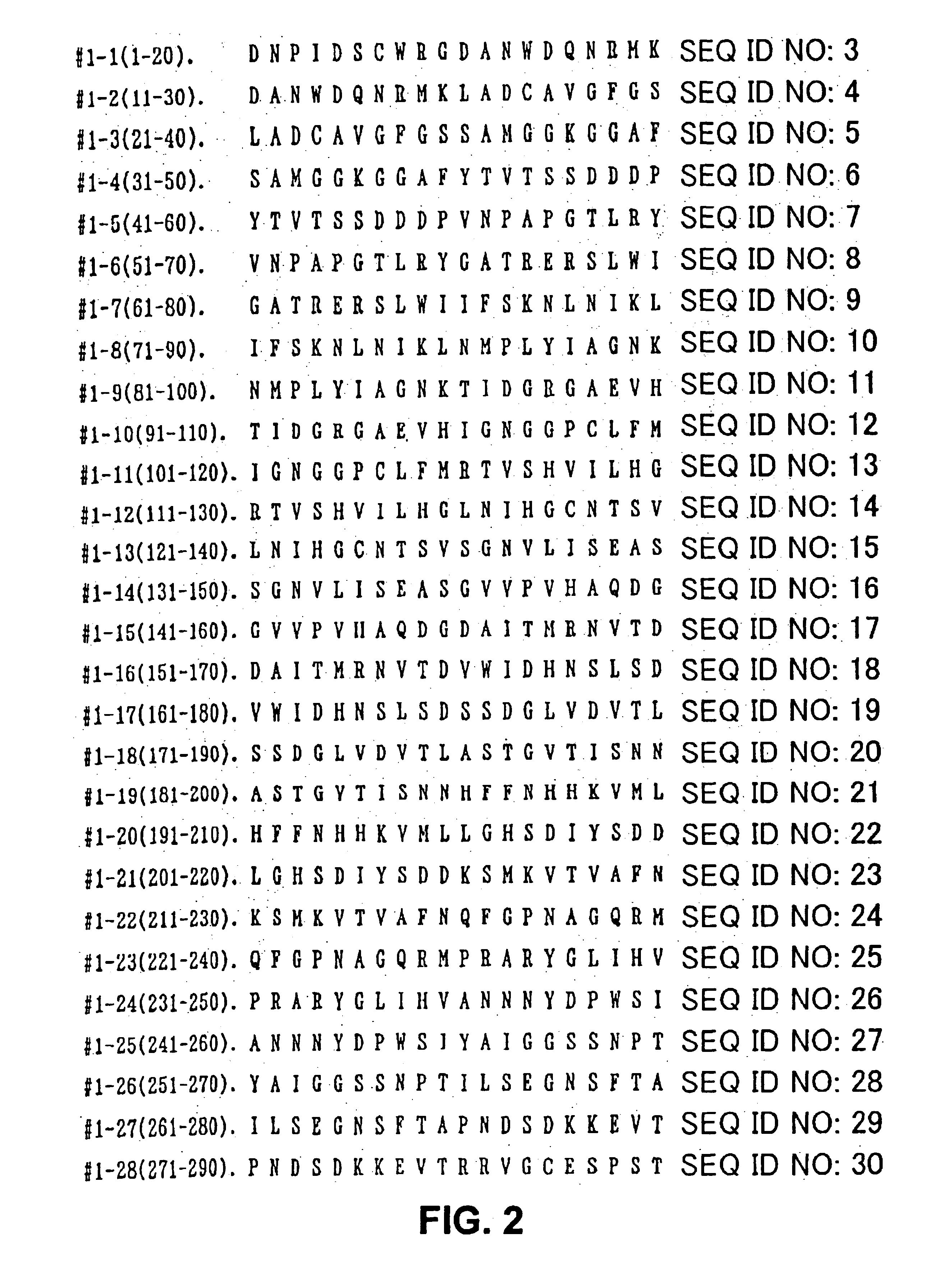 T cell epitope peptide