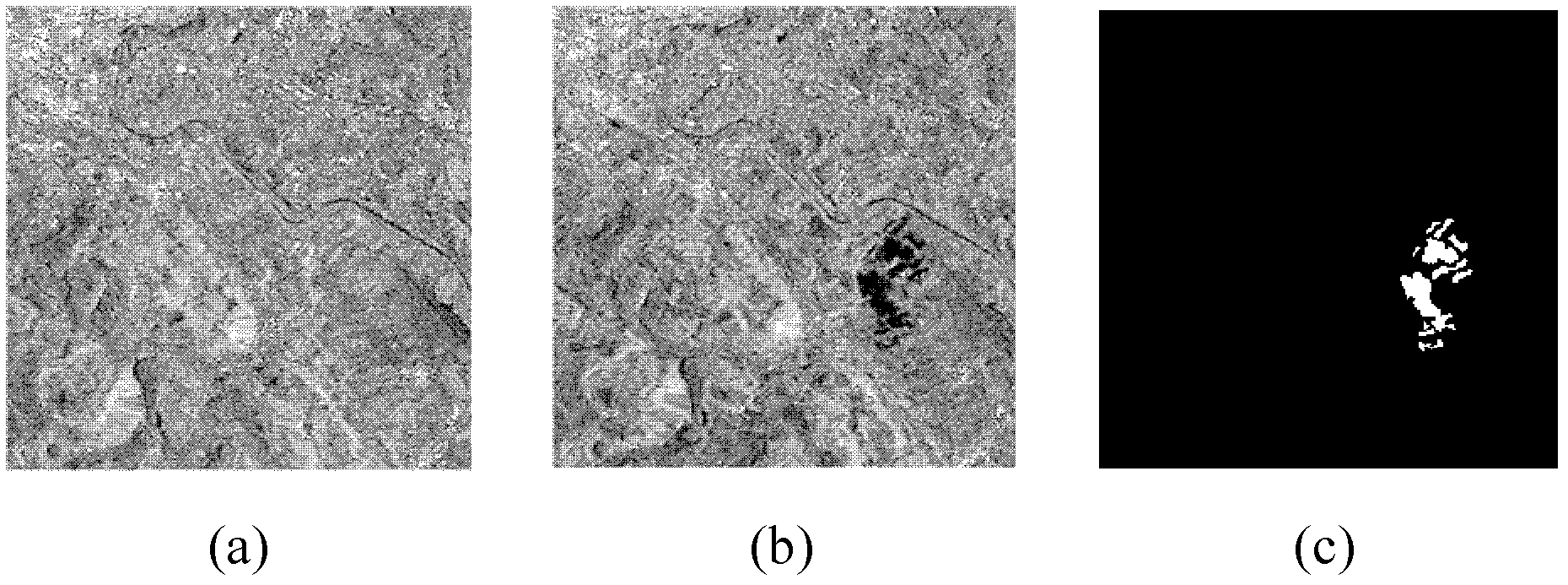 Clonal selection-based method for detecting change of remote sensing image with optimal entropy threshold