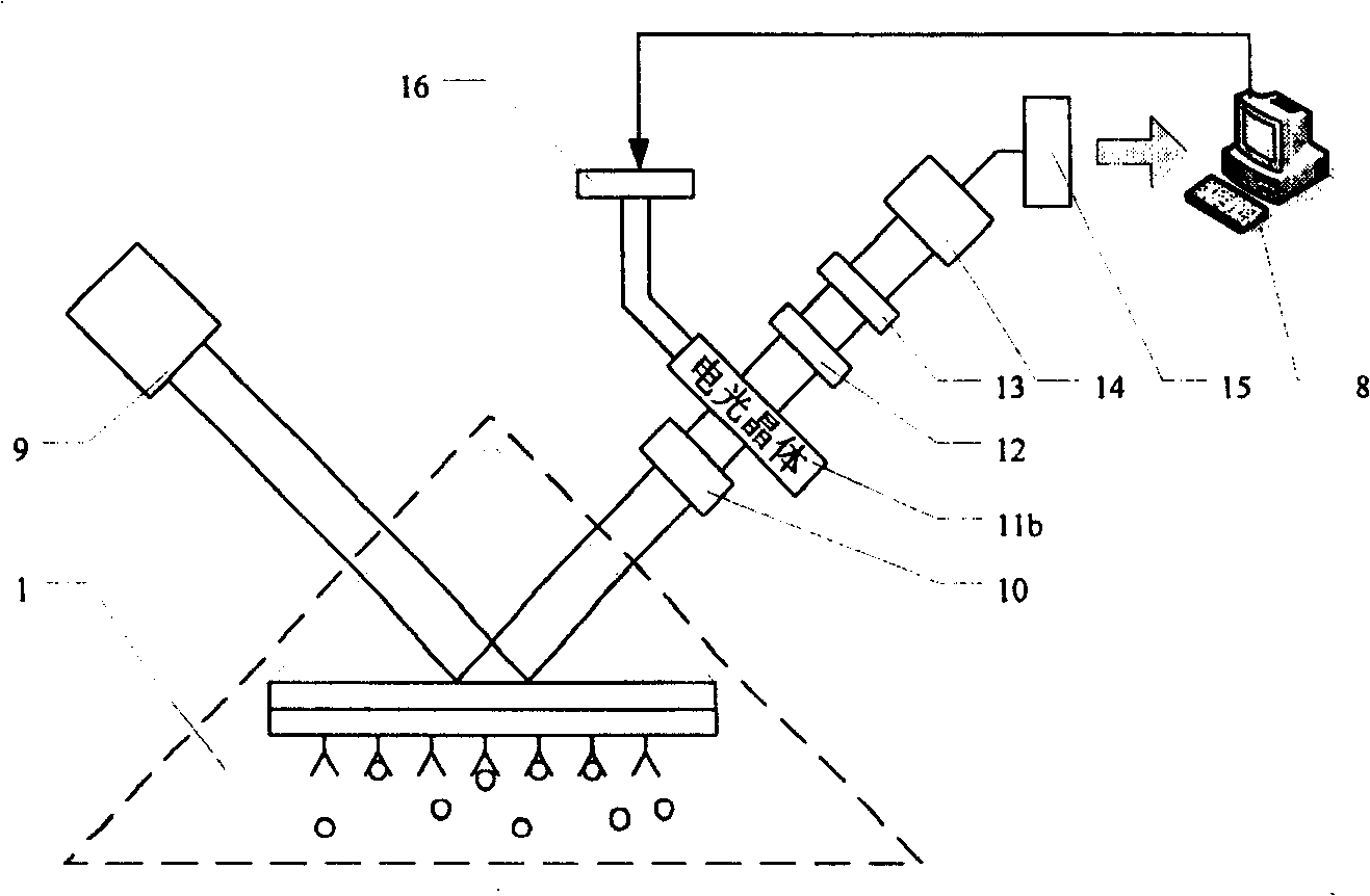 Method and system for testing heterodyne phase of resonance biochemical multichannel of surface plasma