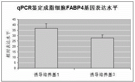 Mesenchymal stem cell adipogenic differentiation culture medium and preparation method thereof