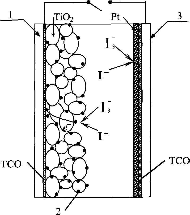 Silk light anode integrated efficient electronic collection dye sensitized solar battery