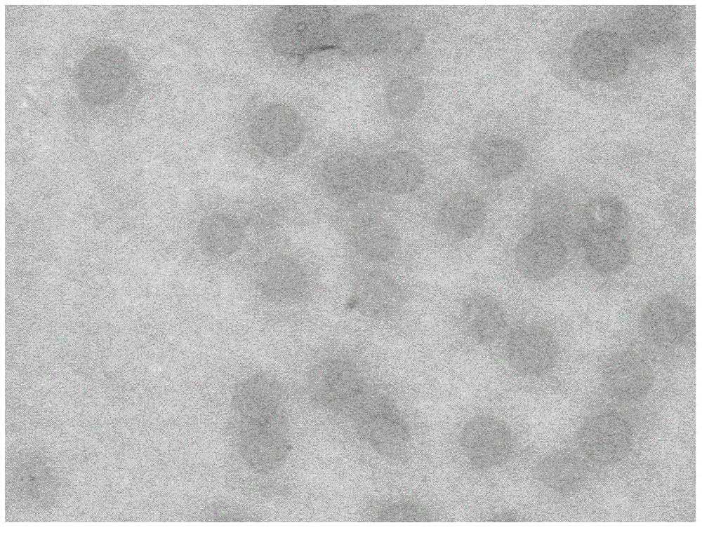 Graphene/ chitosan compound micro-capsule and preparation method thereof