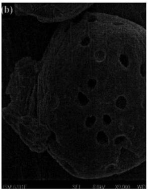 Cross-linked starch microsphere preparation method