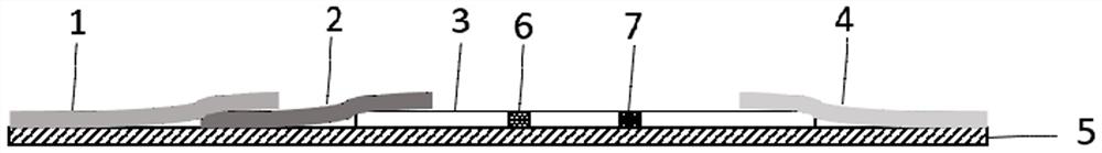 A time-resolved fluorescent quantitative test strip for detecting Ralstonia solanacearum in tobacco leaves and its preparation method and application