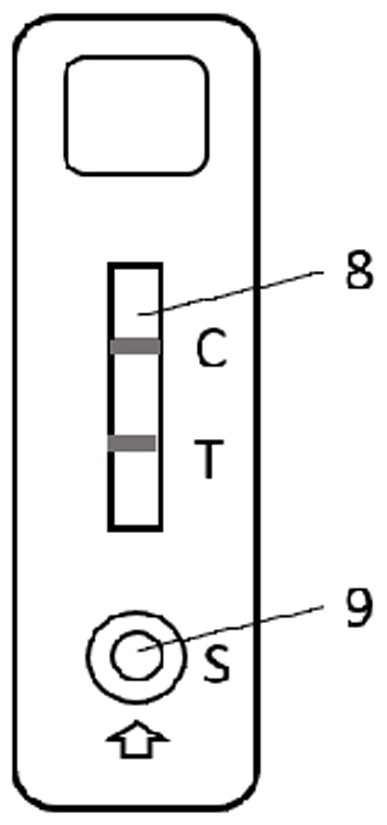 A time-resolved fluorescent quantitative test strip for detecting Ralstonia solanacearum in tobacco leaves and its preparation method and application