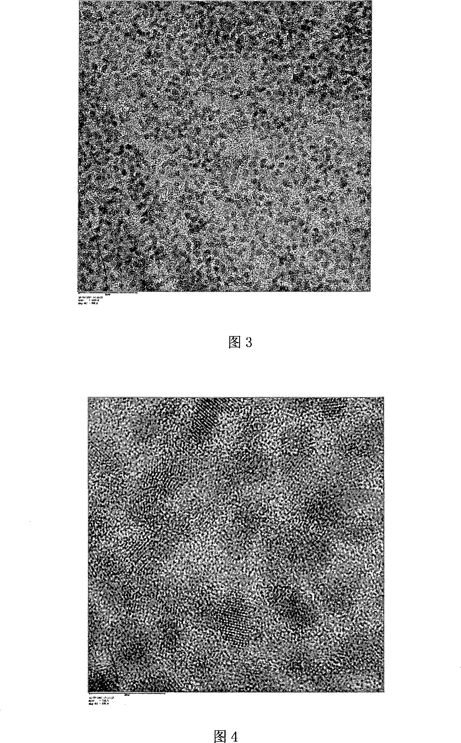 Selenium precursor fluid and method for preparing cadmium selenide or zinc selenide quantum dots by using the same