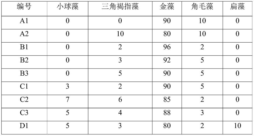 Algae powder type breeding bait, application thereof and artificial shellfish breeding method