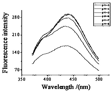 Preparation method of erbium-doped carbon quantum dot composite material taking loofah sponge as carbon source