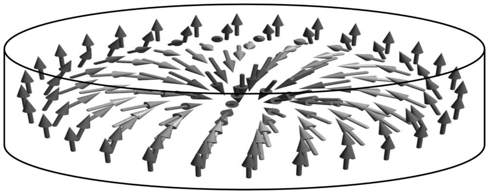 Track memory based on magnetic skyrmion