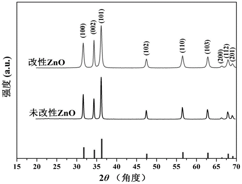 Sea urchin-shaped modified nanometer ZnO photocatalyst as well as preparation method and application of photocatalyst