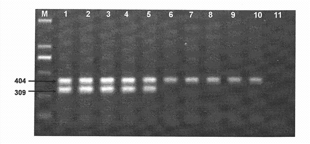 Method and kit for identifying early embryonic sex of pig by dual temperature multiplex PCR