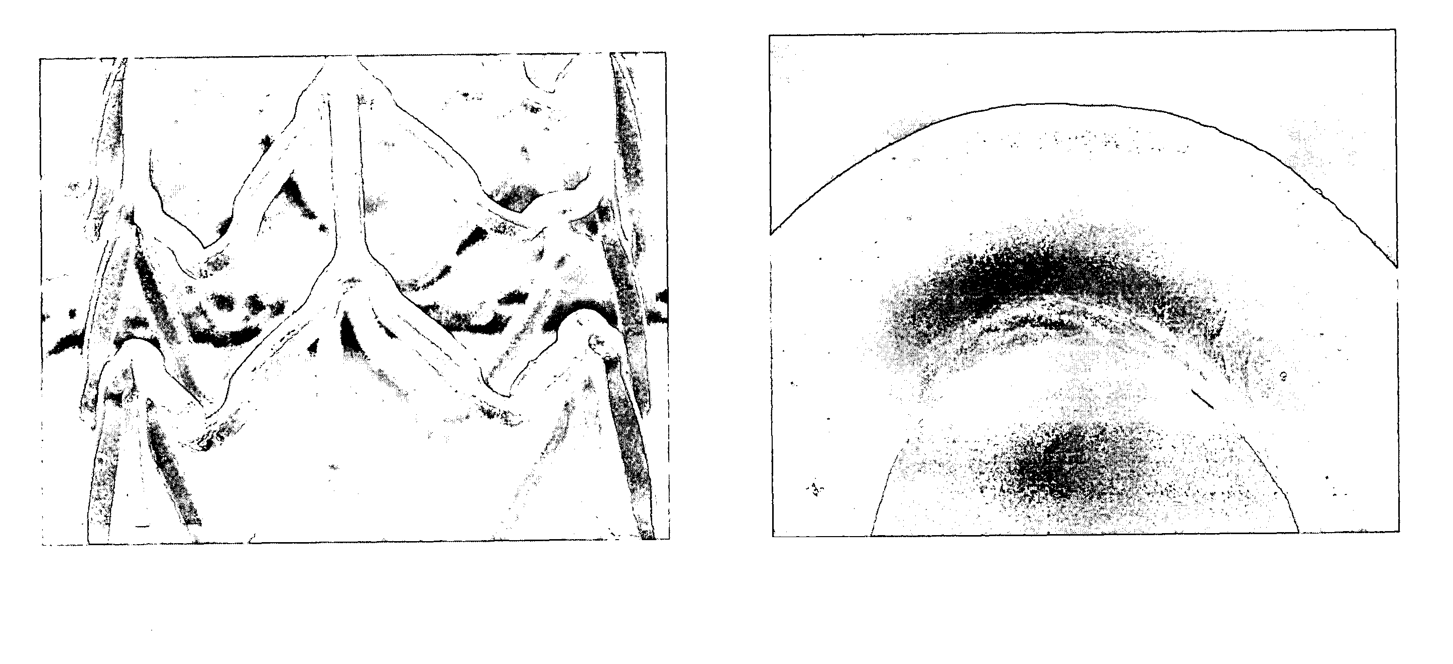 Coatings for implantable medical devices comprising hydrophilic substances and methods for fabricating the same