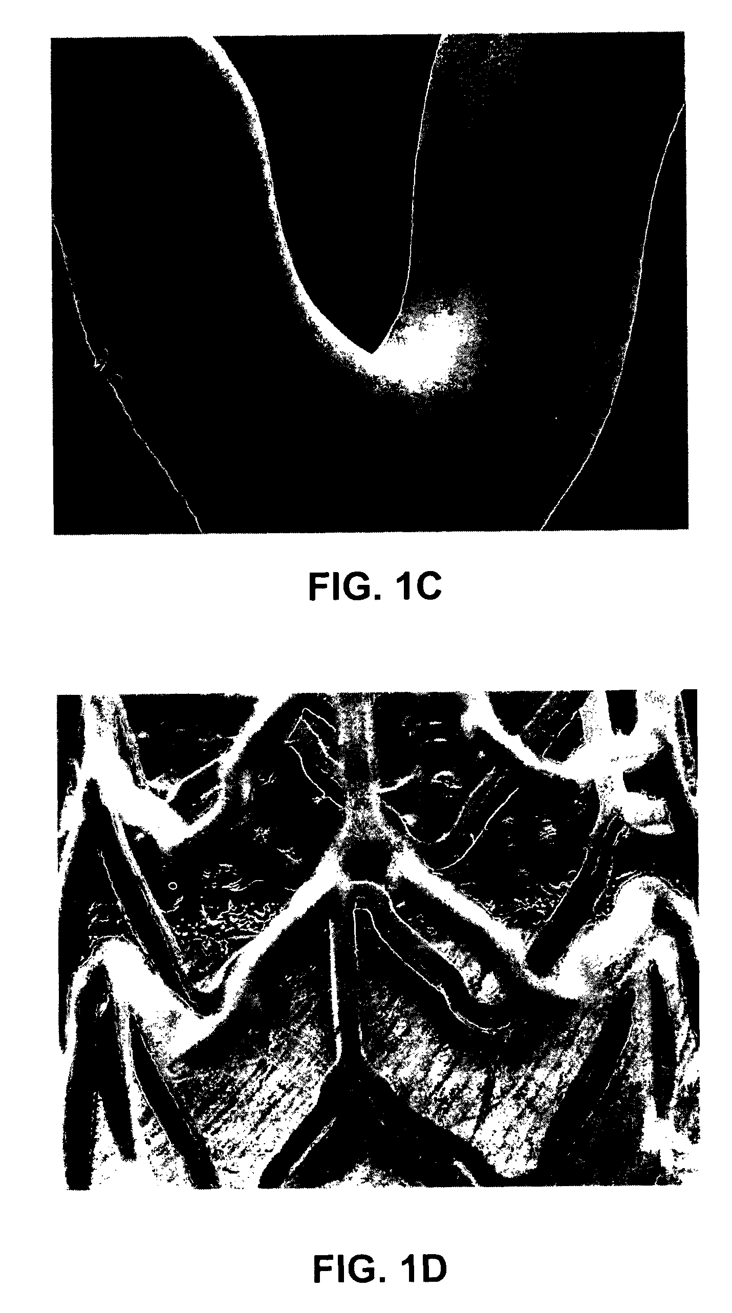 Coatings for implantable medical devices comprising hydrophilic substances and methods for fabricating the same