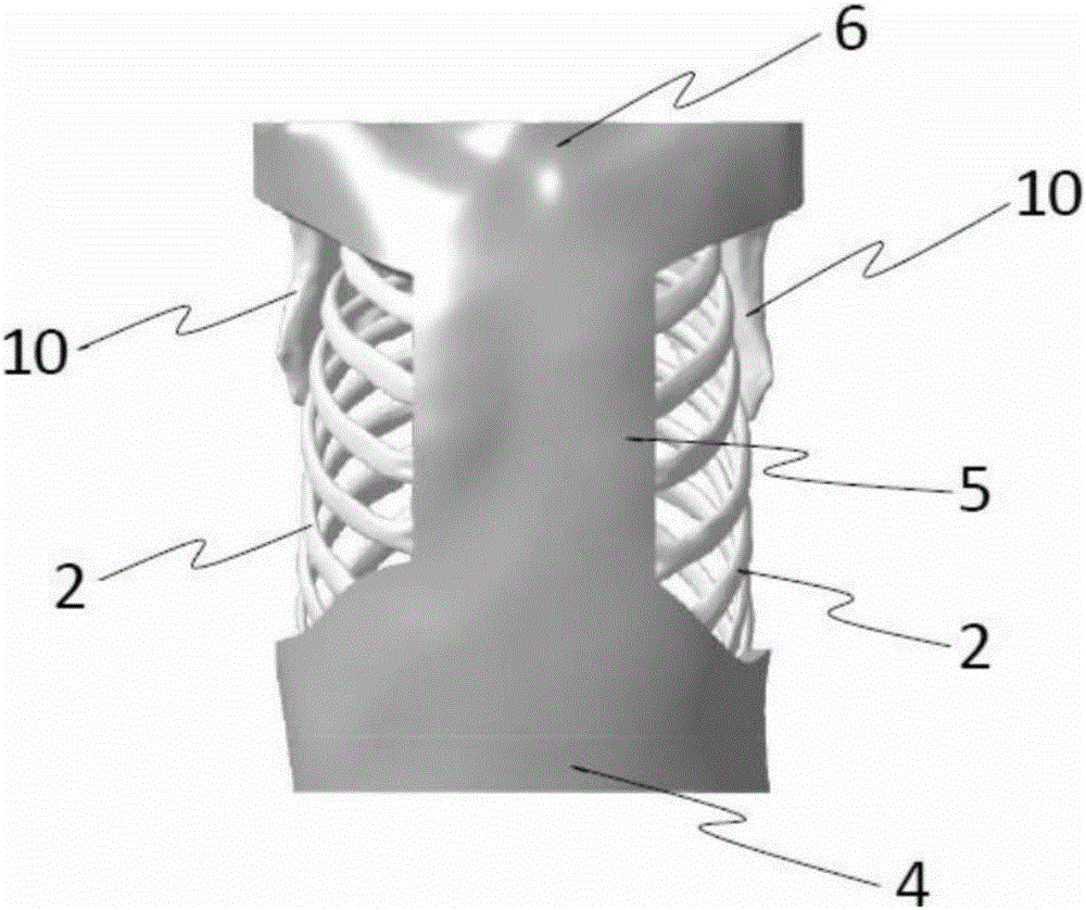 Thoracic cavity simulator